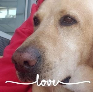 Meet your Posher, Cherrie